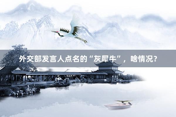 外交部发言人点名的“灰犀牛”，啥情况？